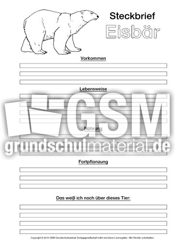 Eisbär-Steckbriefvorlage-sw.pdf